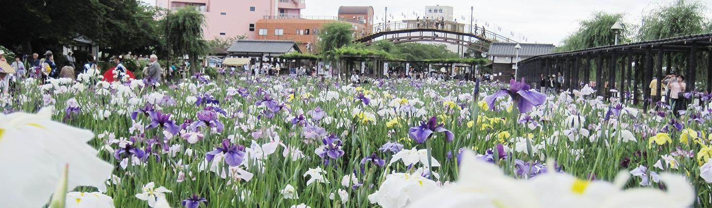 社会福祉法人 鹿島育成園